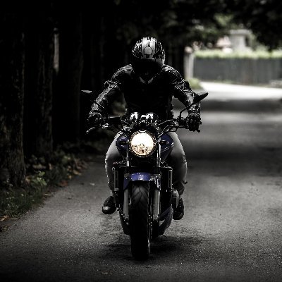 Freeman06697473's profile picture. 