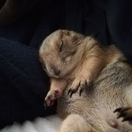 IBImn5mcuV7MzS2's profile picture. 元々株アカウントとして運用していたがごちゃ混ぜになってきた。最近はウマ45メイン
よろしくお願いします。