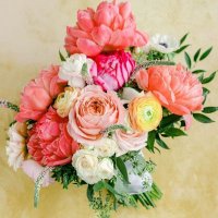 الانباري (@nyvcb8jfd06yfgu) 's Twitter Profile