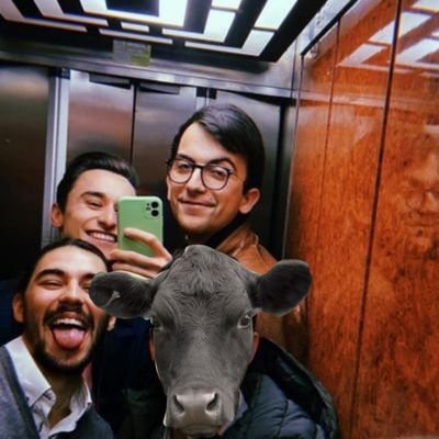 sergiodpd16's profile picture. At night, he’ll pee sitting down, due to fatigue.