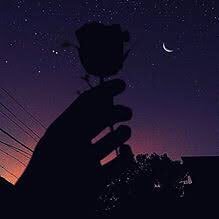 nasiiiirim's profile picture. 