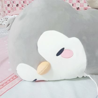 memory Catさんのプロフィール画像