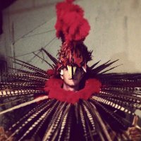 Damian Platt (@damianplatt) 's Twitter Profile
