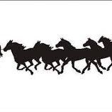 CmsRela's profile picture. Hard working teachers in Kingwood, Texas.