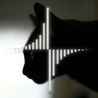 黒猫キャピタル(@kuronekocapital) 's Twitter Profile Photo
