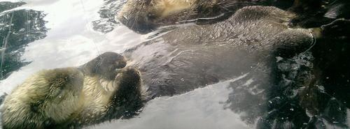 redbulletje's profile picture. 