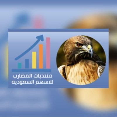 منتديات المضارب للأسهم السعودية و التداولات المالية .. نخبة من المحللين الفنيين و الماليين .. https://t.co/89GmCN6aR0@