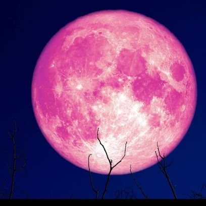 rio_moon98's profile picture. 