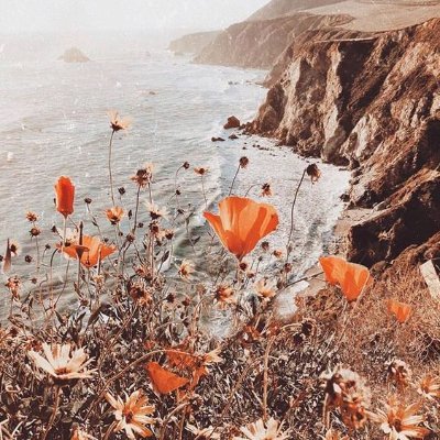 intplasma's profile picture. girlgroup enthusiast