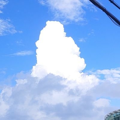 모트さんのプロフィール画像
