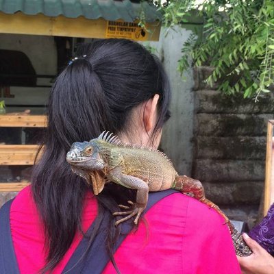 flying_vet_s's profile picture. MPH| Global public health policy| health advocacy| マウス愛好家|写真のイグアナは本人です🩺🦠🐖🐂👨‍⚕️🌏👩‍⚕️🐕🐈🦟💉