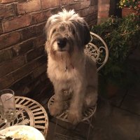 Alex Waddan (@alexwaddan) 's Twitter Profile
