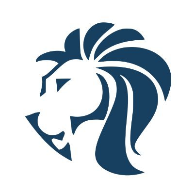 CodeIzem's profile picture. company that provide technologic solutions for multiples industries and for small businesses around the world