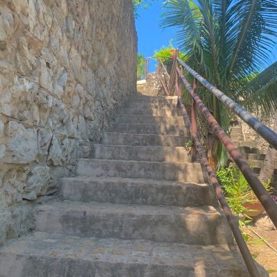 beautifulview66's profile picture. 