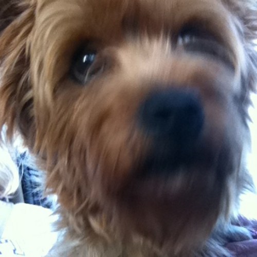 bbowers92's profile picture. 