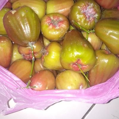 Dewi80467336's profile picture. kado dari kekasih