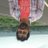 himanshusoni100's profile image