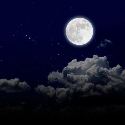 DanielCabelloA1's profile picture. Me encantan las motos 🏍️