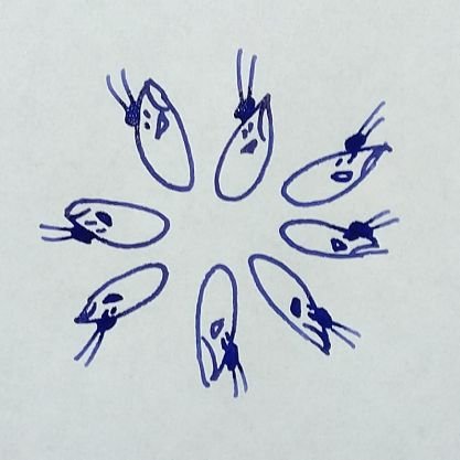 02_ripu_shizuku's profile picture. 白米食べろ。雫です。20↑多忙。
あんスタ(2winkP)、FGO(アナスタシア)、メギド72(アンドラス)。
突然現れては気のおもむくままにつぶやきます。ふぁぼ多。ヘッダーはあべし(@adbe0010)に描いて貰いました。
浮上率ムラ有。よろしくお願いいたします。