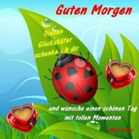Rollerfahrer (@rollerfahrer3) 's Twitter Profile