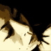 SJ (@sariyajb) Twitter profile photo SJ (@sariyajb) Twitter profile photo