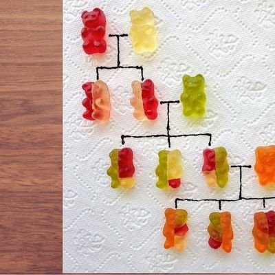 13_YADAV_13's profile picture. INDIAN FIRST 🇮🇳

Think big, make it bigger
 💕❤️ TO TRAVEL N MEET FANTASTIC PEOPLE.
KRÁSNÝ SVĚT,