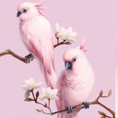 SarahAli_Alajmi's profile picture. 