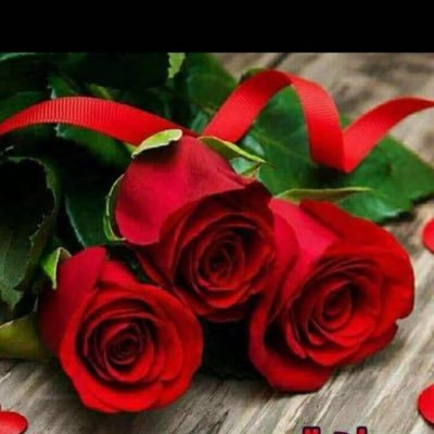Aliahme83835215's profile picture. طبيب أمراض باطنة عامة