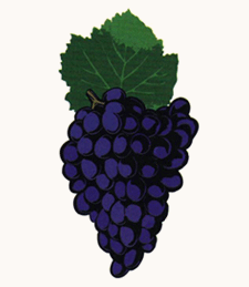 Bulk-Wine