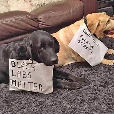 JudyTorCan's profile picture. Coined the phrase 'Trumper-tantrum'

If you're a single lady looking for love - move along!! 

Get well soon #Potus & #Flotus #praying