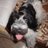 Lolo_michi's profile image