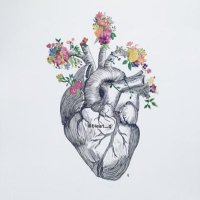 أرح قلبك (@1heart_q) 's Twitter Profile Photo