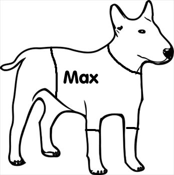 Apparel for Your Pet!