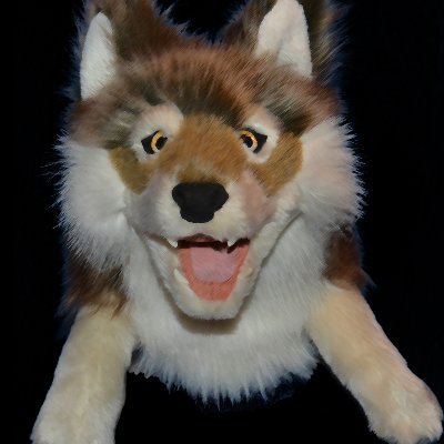 WilloughbyWolf's profile picture. Creator of Parody Featurettes and future CGI Animated Motion Picture:  "The Up & Down Adventures of Airdrop Willy."