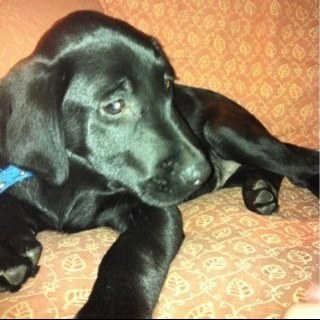 TeamTedTommo's profile picture. My AMAZING family: @Ted_Tommo, @DustyDaCat and @Dustedforever :)  please follow me :) x