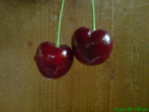 englishcherries Profile Picture