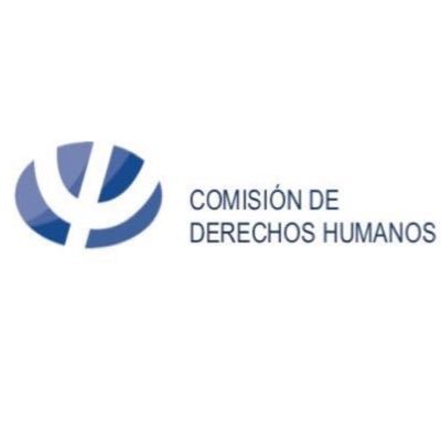 Comisión de Derechos Humanos del Colegio de Psicólogos de Chile.