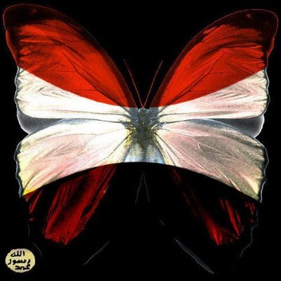 مسلمة مصرية - استاذة جامعية - فلولية - انقلابية - سيساوية - انتخبت شفيق مرتين و بحب مبارك و شايفة يناير نكسة و مؤامرة .. بحب وبدعم الازهر و شيخه الطيب