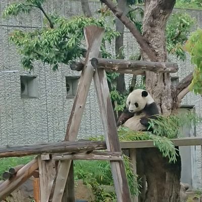 どんさんのプロフィール画像