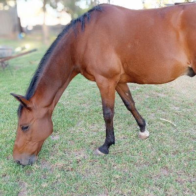 Fookmerunnin's profile picture. 