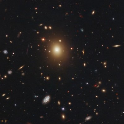 LovelyDiamond17's profile picture. 