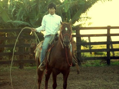 Sigam-me os bons !!!