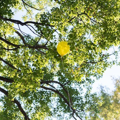 lemonpi64569499's profile picture. 悩める40代、子育てと仕事の狭間で日々悶々と。日記及び備忘録。
半分以上が中受する地域に住みながら小6息子は高校受験を選択。夫は任期未定の単身赴任。