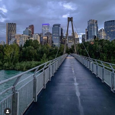 dms195's profile picture. 