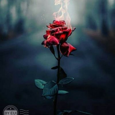 AteekNawaz's profile picture. I love Islam
