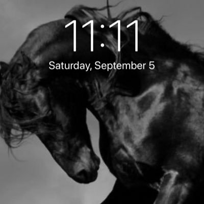 badashootr's profile picture. Texan born and raised, gun toting daughter of MARINE rifle instructor! I ride a Harley, Bass fish and COW rancher 🐂!! Who loves her family!