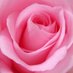 mjansen (@mjansen22598292) Twitter profile photo mjansen (@mjansen22598292) Twitter profile photo