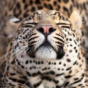 njgirl1422's profile picture. 