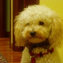 Ignacio Corrales - @MiniNachin - Twitter