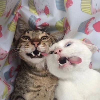 ellfiaaa's profile picture. https://t.co/lCbYFryABX 👈||harus diisi aku maksa😠||👈
https://t.co/ncqAeNQ7ji jgnlupa subscribe ytb aku, dan pantengin trs yah ada yg menarik 😍